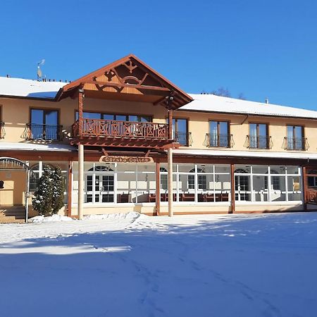 Bed and Breakfast Gorska Dolina Строне-Слёнске Экстерьер фото